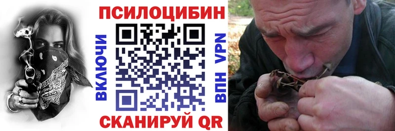 купить закладку  Артёмовск  Галлюциногенные грибы Magic Shrooms 